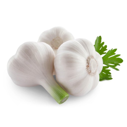  عکس سیر تازه